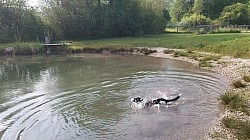 Schwimmen