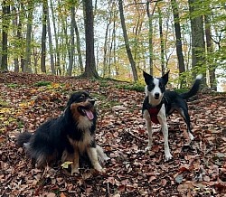 Lumpi treffe ich manchmal auf unseren Spaziergängen.