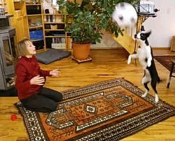 Ballspiel
