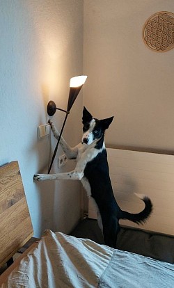 Licht aus