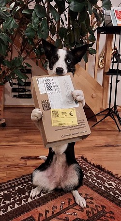Post ist da