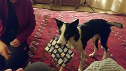Packerl verteilen