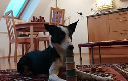 Becher stapeln