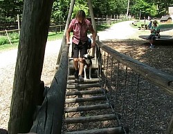 Hängebrücke