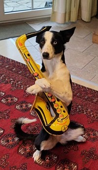 Hab jetzt auch ein Saxophon!