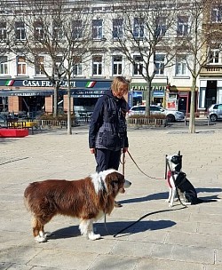 Das Ding mit der Leine...