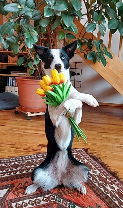 Vielen Dank für die Blumen!