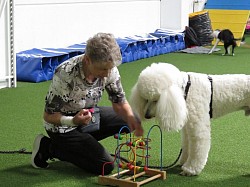 Johanna & Sky beim Trickdog