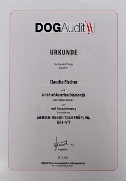 BH-VT DogAudit 3.11.2024