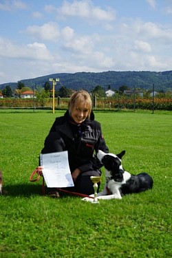 IBGH1, Border Collie, Nilah of Austrian Diamonds, Claudia Fischer