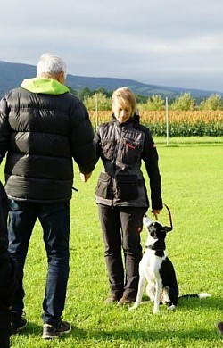 IBGH1, Nilah of Austrian Diamonds, Border Collie, Claudia Fischer