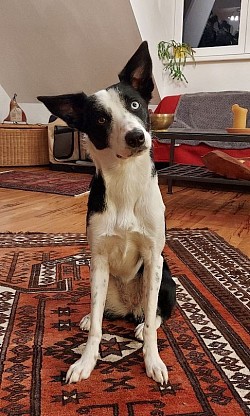 Mein erster Geburtstag! 29.1.2024