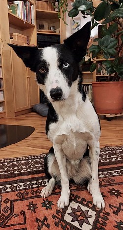 Mein dritter Geburtstag! 29.1.2026