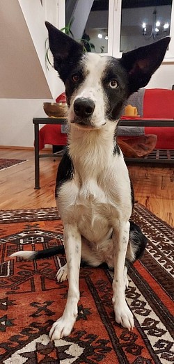 Mein zweiter Geburtstag! 29.1.2025