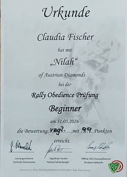 Rallyobedience-Beginner 31.5.2026